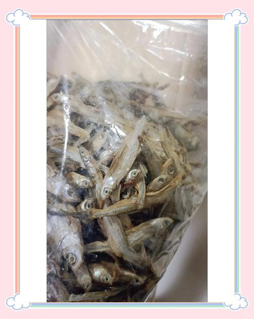 猫咪多大可以吃小鱼干,猫咪多大可以吃小鱼干了-第1张图片-后鲨宠物 猫咪多大可以吃小鱼干,猫咪多大可以吃小鱼干了-第1张图片-后鲨宠物