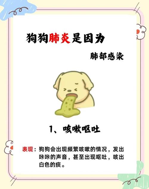 狗狗肺炎的症状,狗狗肺炎的比较好最快的治疗方法-第3张图片-后鲨宠物 狗狗肺炎的症状,狗狗肺炎的比较好最快的治疗方法-第3张图片-后鲨宠物