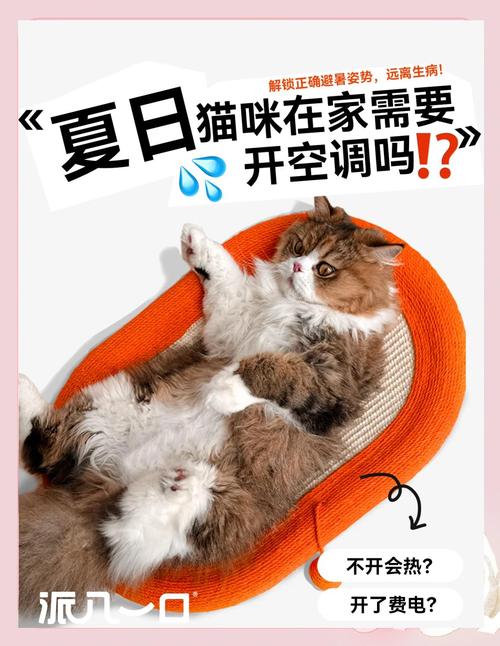 猫咪能吹空调吗_猫儿可不可以吹空调-第1张图片-后鲨宠物 猫咪能吹空调吗_猫儿可不可以吹空调-第1张图片-后鲨宠物