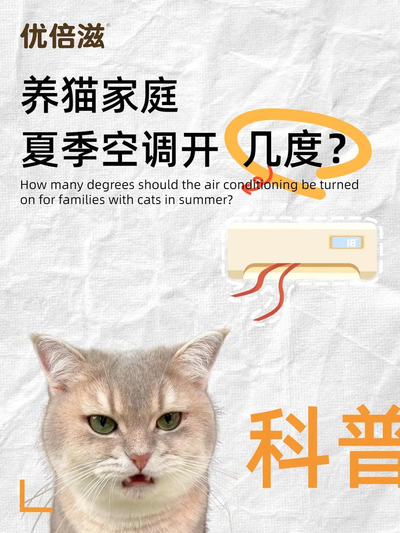 猫咪能吹空调吗_猫儿可不可以吹空调-第4张图片-后鲨宠物 猫咪能吹空调吗_猫儿可不可以吹空调-第4张图片-后鲨宠物