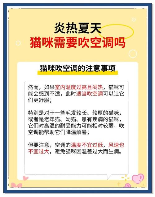猫咪能吹空调吗_猫儿可不可以吹空调-第5张图片-后鲨宠物 猫咪能吹空调吗_猫儿可不可以吹空调-第5张图片-后鲨宠物