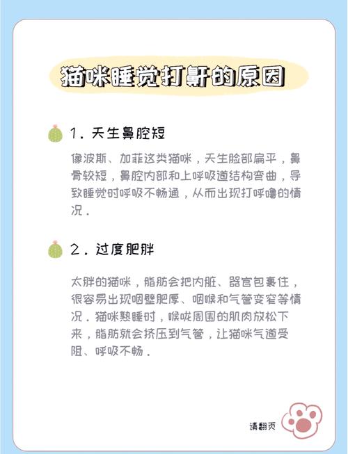猫猫睡觉打呼噜,猫猫睡觉打呼噜是什么表现-第1张图片-后鲨宠物 猫猫睡觉打呼噜,猫猫睡觉打呼噜是什么表现-第1张图片-后鲨宠物