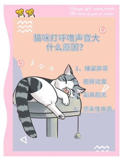 猫猫睡觉打呼噜,猫猫睡觉打呼噜是什么表现-第3张图片-后鲨宠物 猫猫睡觉打呼噜,猫猫睡觉打呼噜是什么表现-第3张图片-后鲨宠物