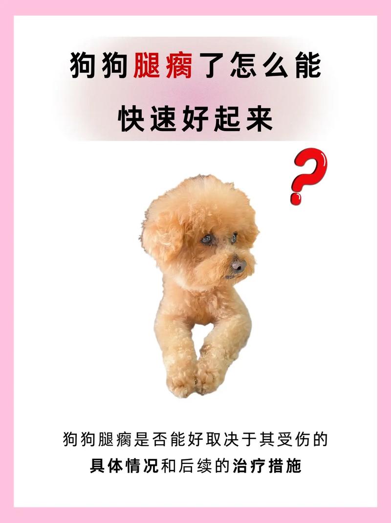 狗狗骨折会一直叫吗,狗狗骨折会一直叫吗怎么办-第4张图片-后鲨宠物 狗狗骨折会一直叫吗,狗狗骨折会一直叫吗怎么办-第4张图片-后鲨宠物