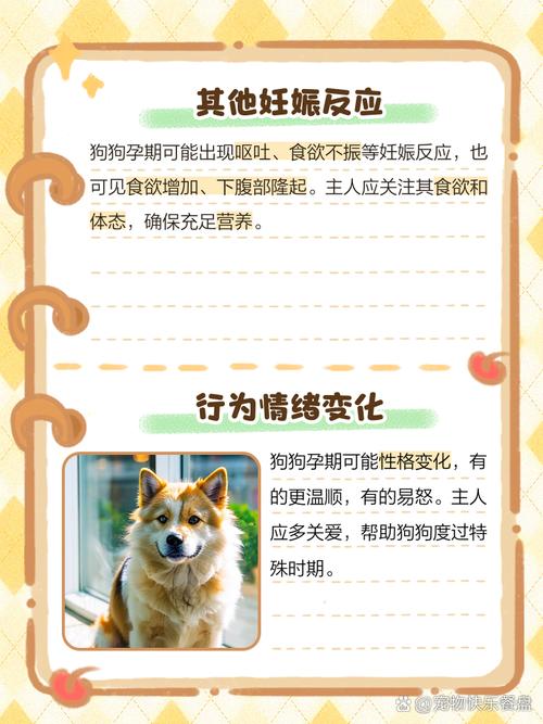  狗狗怀孕的症状，狗狗怀孕初期症状有哪些表现