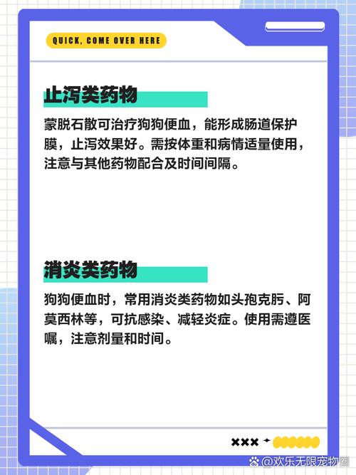 狗狗拉血用什么药比较好,狗狗拉血吃什么药好得快?-第6张图片-后鲨宠物 狗狗拉血用什么药比较好,狗狗拉血吃什么药好得快?-第6张图片-后鲨宠物
