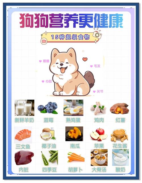 狗狗吃什么调理肠胃,狗狗吃什么调理肠胃的药-第2张图片-后鲨宠物 狗狗吃什么调理肠胃,狗狗吃什么调理肠胃的药-第2张图片-后鲨宠物