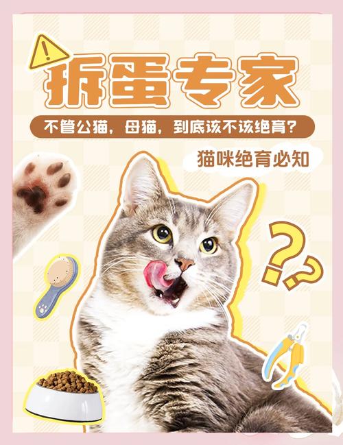  猫咪做绝育好不好，猫咪做绝育好不好公猫-第4张图片-后鲨宠物