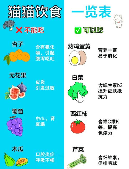 猫咪能不能吃芒果,猫咪能不能吃芒果冰棍-第2张图片-后鲨宠物 猫咪能不能吃芒果,猫咪能不能吃芒果冰棍-第2张图片-后鲨宠物