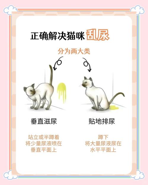 怎样防止猫咪乱尿,最有效制止猫乱尿的办法-第3张图片-后鲨宠物 怎样防止猫咪乱尿,最有效制止猫乱尿的办法-第3张图片-后鲨宠物