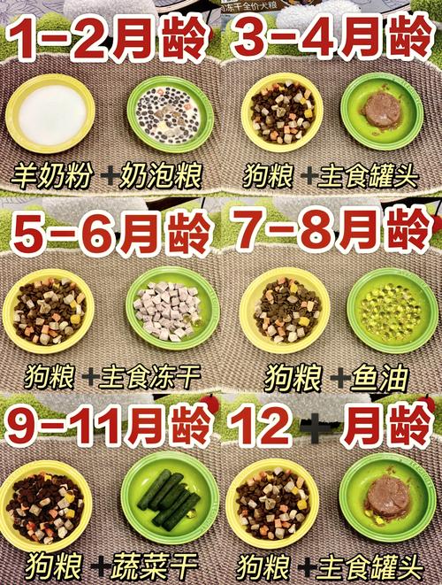 1个多月的狗狗吃什么_1个月的狗狗吃什么食物