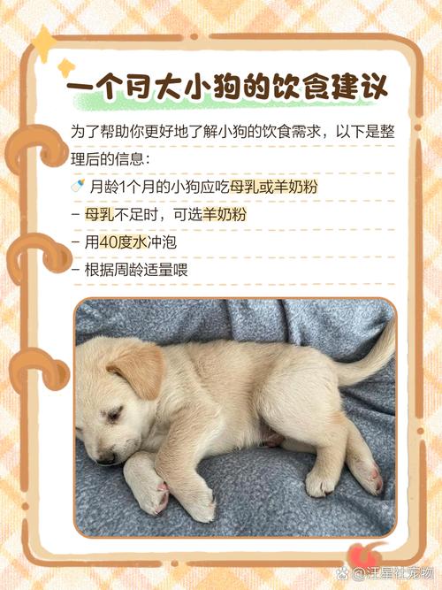 1个多月的狗狗吃什么_1个月的狗狗吃什么食物-第3张图片-后鲨宠物 1个多月的狗狗吃什么_1个月的狗狗吃什么食物-第3张图片-后鲨宠物