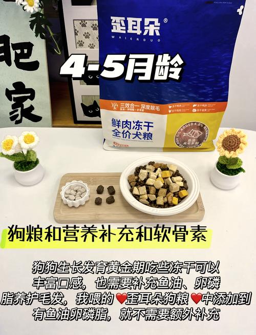 1个多月的狗狗吃什么_1个月的狗狗吃什么食物-第4张图片-后鲨宠物 1个多月的狗狗吃什么_1个月的狗狗吃什么食物-第4张图片-后鲨宠物