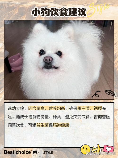 1个多月的狗狗吃什么_1个月的狗狗吃什么食物-第5张图片-后鲨宠物 1个多月的狗狗吃什么_1个月的狗狗吃什么食物-第5张图片-后鲨宠物