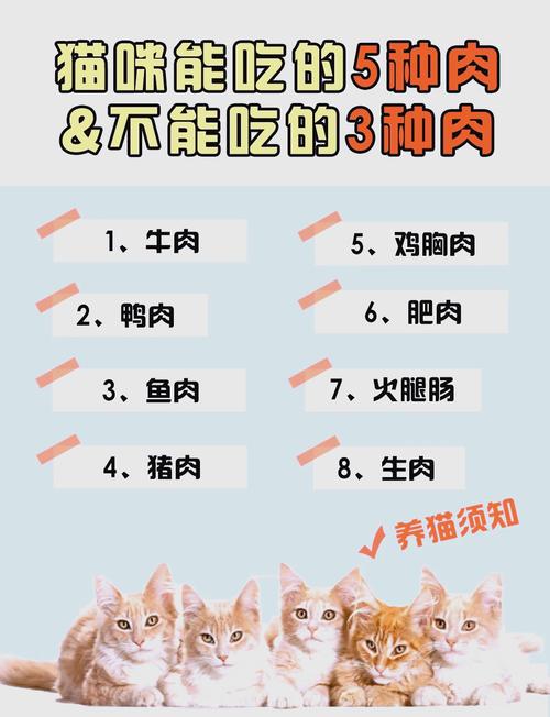 猫咪能吃什么肉,猫咪能吃什么肉干?-第4张图片-后鲨宠物 猫咪能吃什么肉,猫咪能吃什么肉干?-第4张图片-后鲨宠物