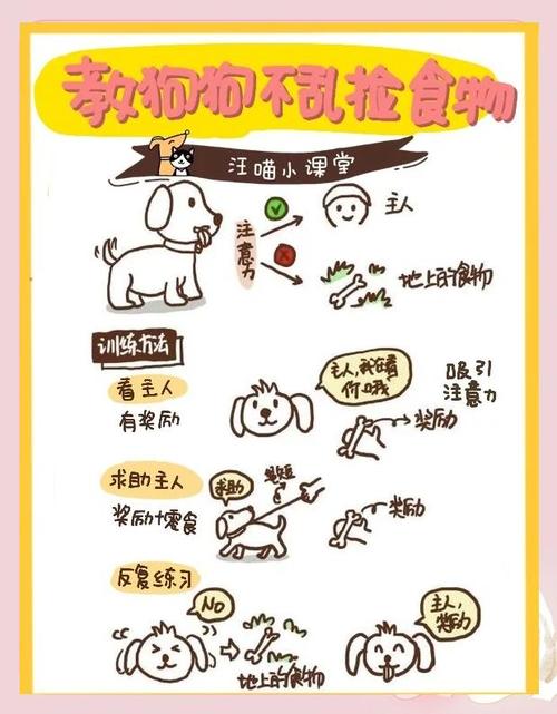 怎么训练狗狗不乱吃东西，怎么训练狗狗不乱跑不乱吃东西？