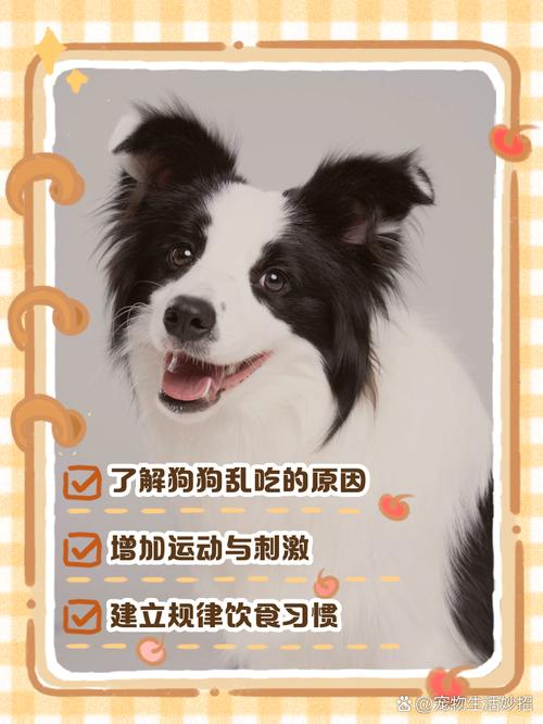 怎么训练狗狗不乱吃东西,怎么训练狗狗不乱跑不乱吃东西?-第3张图片-后鲨宠物 怎么训练狗狗不乱吃东西,怎么训练狗狗不乱跑不乱吃东西?-第3张图片-后鲨宠物