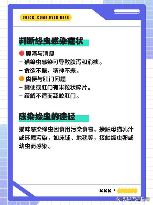 猫咪绦虫长什么样,猫的绦虫严重症状?-第4张图片-后鲨宠物 猫咪绦虫长什么样,猫的绦虫严重症状?-第4张图片-后鲨宠物