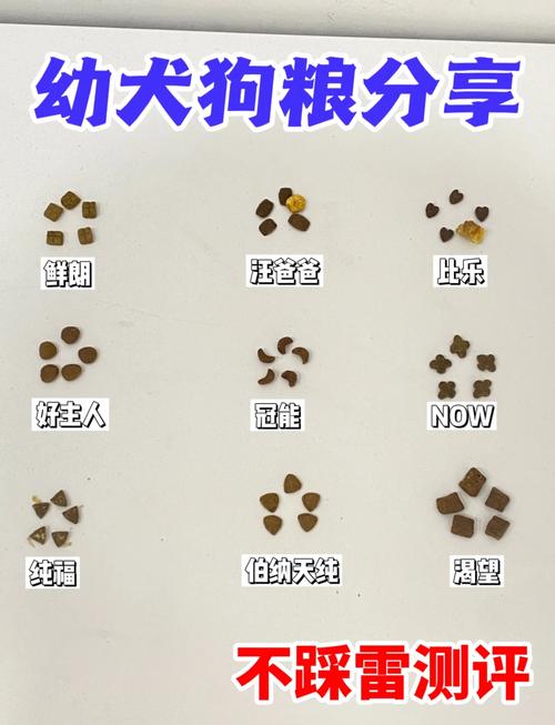 狗狗狗粮吃多少,狗狗狗粮吃多少八个月腊肠犬?-第2张图片-后鲨宠物 狗狗狗粮吃多少,狗狗狗粮吃多少八个月腊肠犬?-第2张图片-后鲨宠物