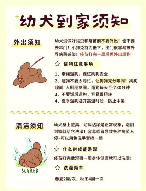  狗狗打完疫苗能出门吗，狗狗打完疫苗能出门吗有影响吗