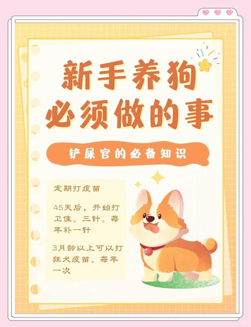 狗狗打完疫苗能出门吗,狗狗打完疫苗能出门吗有影响吗-第2张图片-后鲨宠物 狗狗打完疫苗能出门吗,狗狗打完疫苗能出门吗有影响吗-第2张图片-后鲨宠物