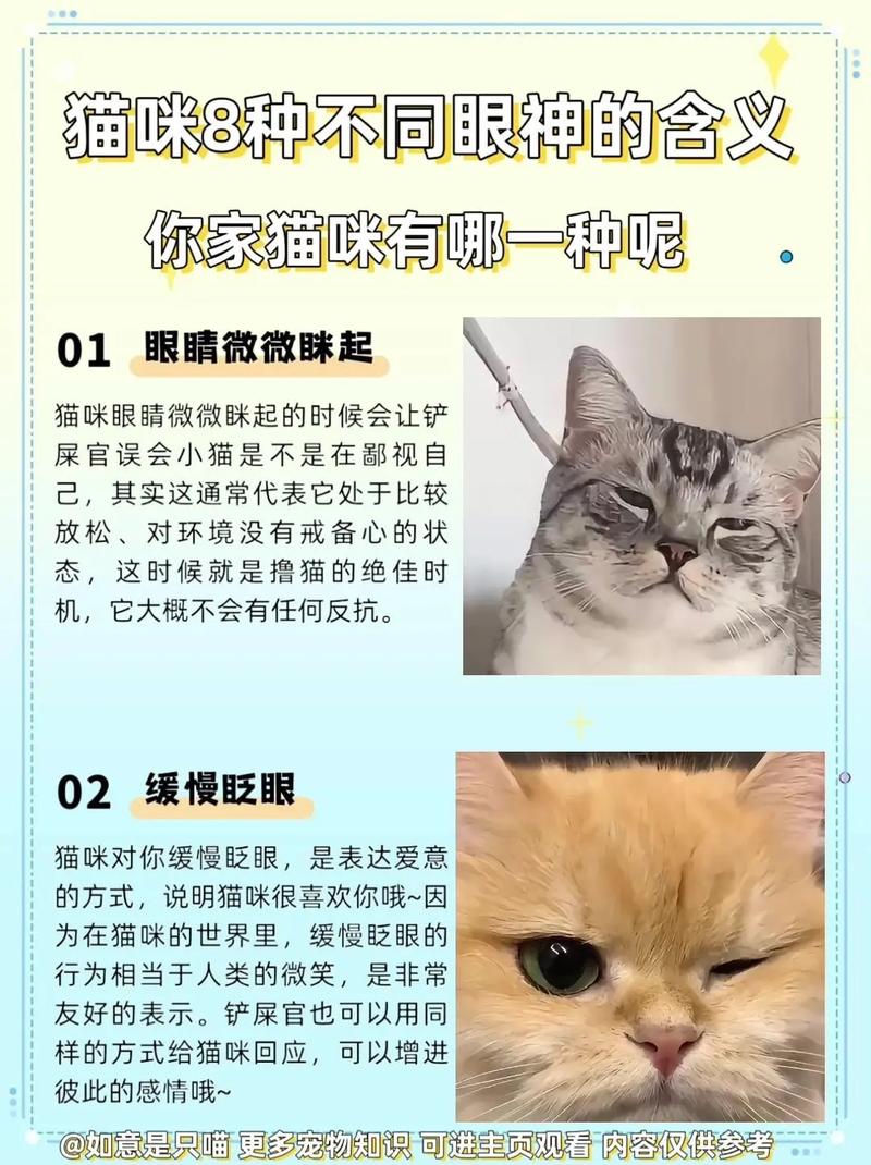 猫咪大小眼怎么处理_猫咪大小眼了是怎么回事-第2张图片-后鲨宠物 猫咪大小眼怎么处理_猫咪大小眼了是怎么回事-第2张图片-后鲨宠物