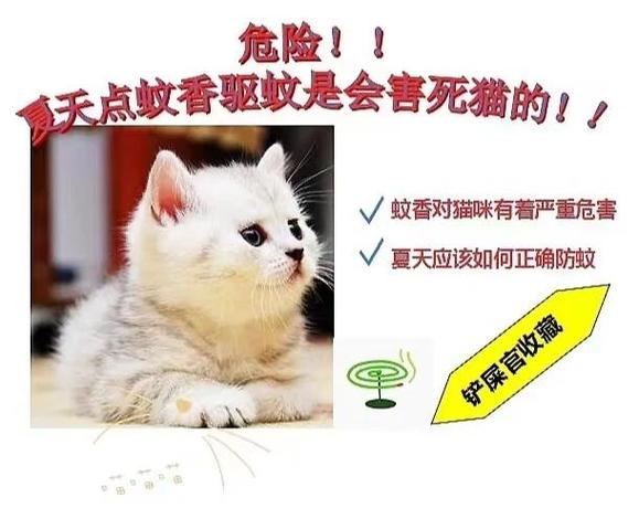  猫咪会被蚊子咬吗，猫被蚊子咬了会得寄生虫嘛-第2张图片-后鲨宠物