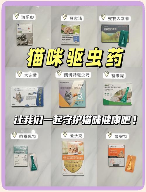 猫咪身上黑色的小虫,猫咪身上黑色的小虫子是什么?-第3张图片-后鲨宠物 猫咪身上黑色的小虫,猫咪身上黑色的小虫子是什么?-第3张图片-后鲨宠物