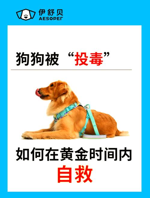 狗狗吃了蚂蚁药怎么办,狗狗吃了蚂蚁药会死吗-第3张图片-后鲨宠物 狗狗吃了蚂蚁药怎么办,狗狗吃了蚂蚁药会死吗-第3张图片-后鲨宠物