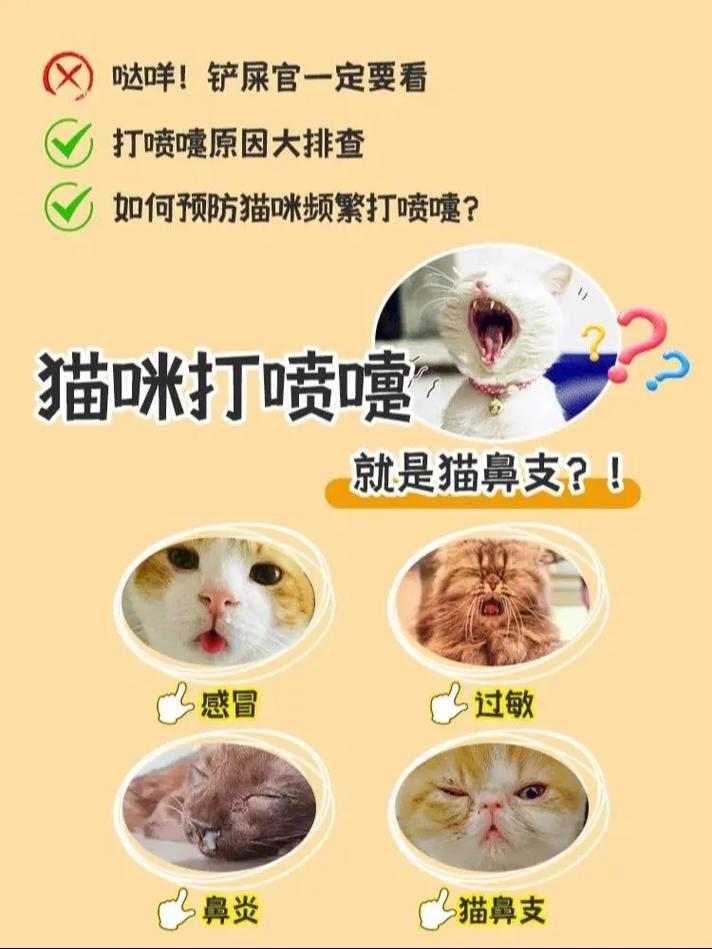 猫咪老打喷嚏怎么回事_猫不停打喷嚏是怎么回事-第1张图片-后鲨宠物 猫咪老打喷嚏怎么回事_猫不停打喷嚏是怎么回事-第1张图片-后鲨宠物