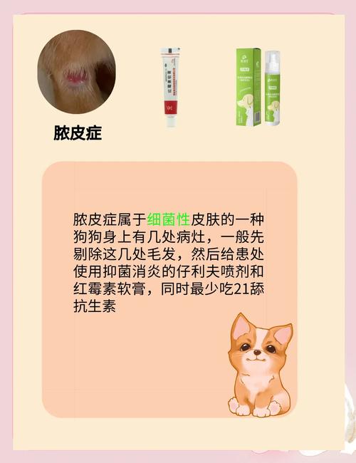  狗狗可以吃头孢吗，狗狗可以吃头孢吗消炎药
