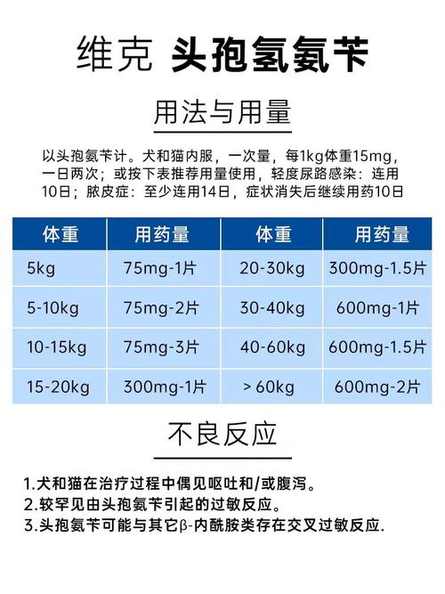 狗狗可以吃头孢吗,狗狗可以吃头孢吗消炎药-第3张图片-后鲨宠物 狗狗可以吃头孢吗,狗狗可以吃头孢吗消炎药-第3张图片-后鲨宠物
