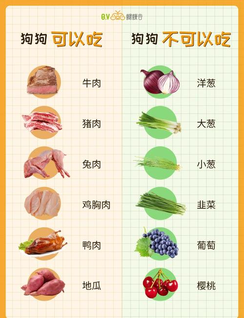 狗狗能吃的东西大全，狗狗能吃的东西清单 新闻？
