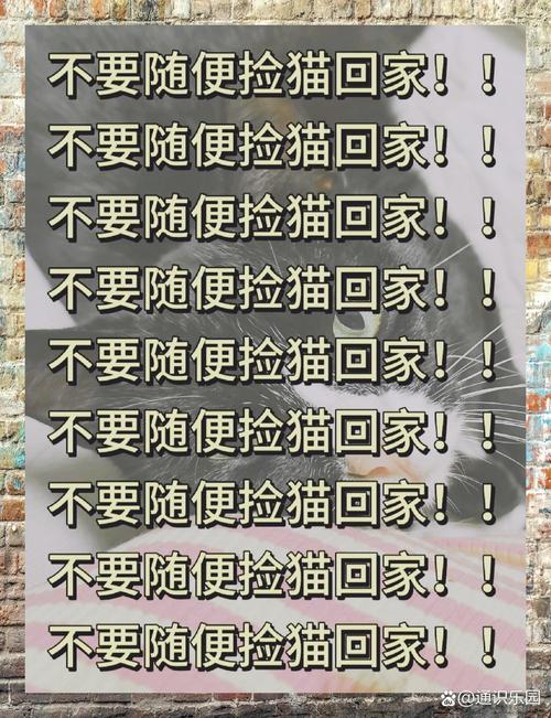 猫咪突然没精神总睡觉,猫咪突然没精神总睡觉声音嘶哑怕冷-第1张图片-后鲨宠物 猫咪突然没精神总睡觉,猫咪突然没精神总睡觉声音嘶哑怕冷-第1张图片-后鲨宠物