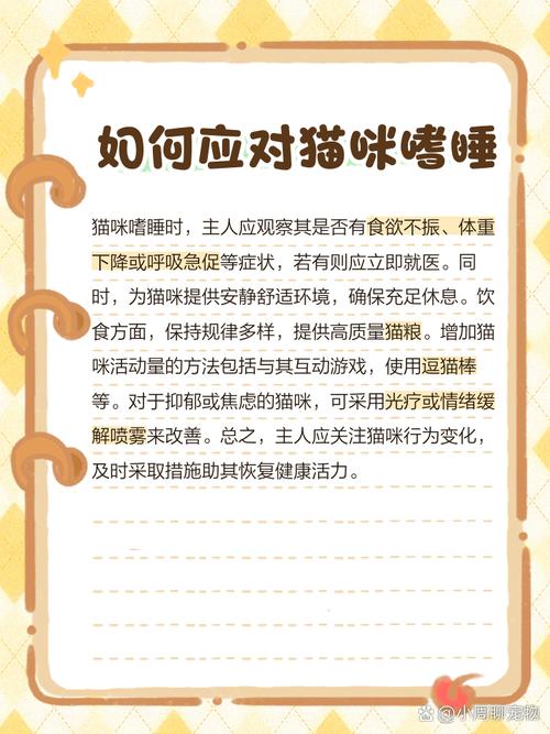 猫咪突然没精神总睡觉,猫咪突然没精神总睡觉声音嘶哑怕冷-第5张图片-后鲨宠物 猫咪突然没精神总睡觉,猫咪突然没精神总睡觉声音嘶哑怕冷-第5张图片-后鲨宠物
