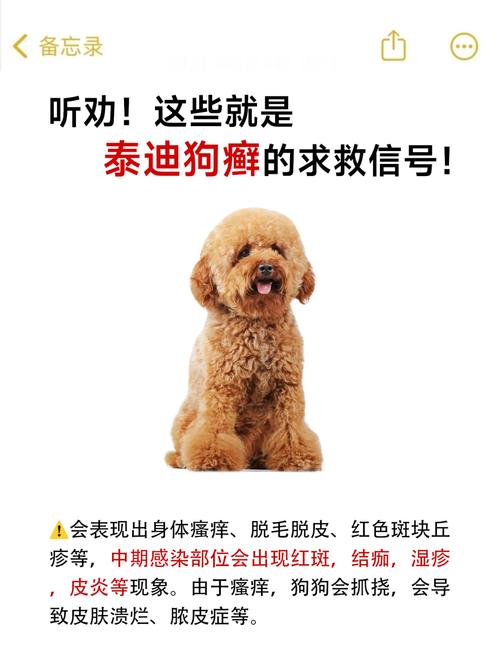  狗狗得了皮肤病会传染人吗，狗狗得了皮肤病会传染给别的狗狗吗-第3张图片-后鲨宠物