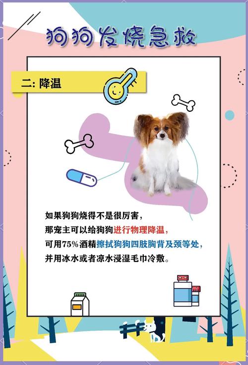 狗狗发烧怎么退烧,狗狗发烧退烧小妙招-第1张图片-后鲨宠物 狗狗发烧怎么退烧,狗狗发烧退烧小妙招-第1张图片-后鲨宠物
