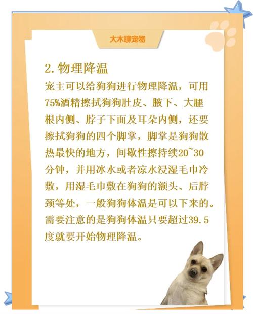 狗狗发烧怎么退烧,狗狗发烧退烧小妙招-第2张图片-后鲨宠物 狗狗发烧怎么退烧,狗狗发烧退烧小妙招-第2张图片-后鲨宠物