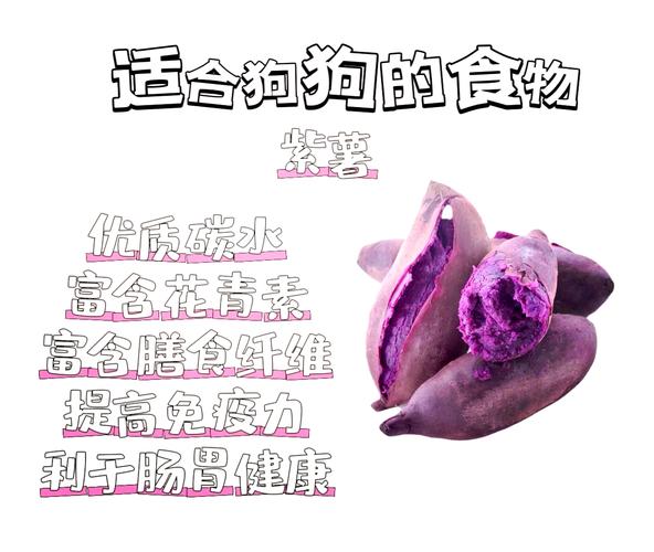 狗狗能吃紫薯吗,狗狗吃红薯好不好-第3张图片-后鲨宠物 狗狗能吃紫薯吗,狗狗吃红薯好不好-第3张图片-后鲨宠物