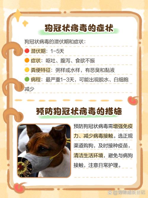 狗狗冠状病毒吃什么药的简单介绍-第3张图片-后鲨宠物 狗狗冠状病毒吃什么药的简单介绍-第3张图片-后鲨宠物