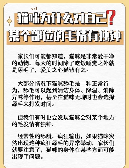 猫咪舔人是什么意思_猫咪舔人怎么办-第3张图片-后鲨宠物 猫咪舔人是什么意思_猫咪舔人怎么办-第3张图片-后鲨宠物