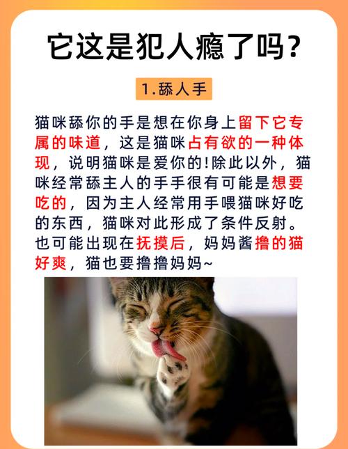 猫咪舔人是什么意思_猫咪舔人怎么办-第4张图片-后鲨宠物 猫咪舔人是什么意思_猫咪舔人怎么办-第4张图片-后鲨宠物