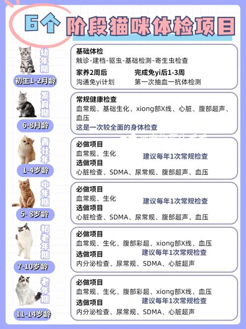 猫咪检查身体多少钱_猫咪检查要多少钱-第2张图片-后鲨宠物 猫咪检查身体多少钱_猫咪检查要多少钱-第2张图片-后鲨宠物