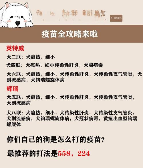 狗狗都需要打什么疫苗_狗狗都需要打啥疫苗-第4张图片-后鲨宠物