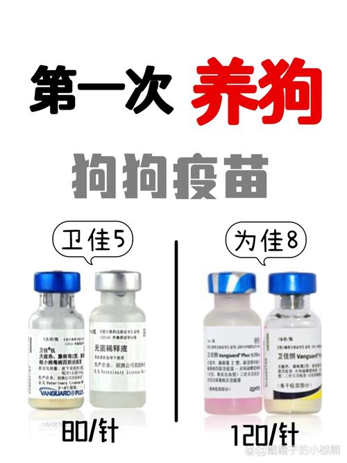 狗狗都需要打什么疫苗_狗狗都需要打啥疫苗-第5张图片-后鲨宠物