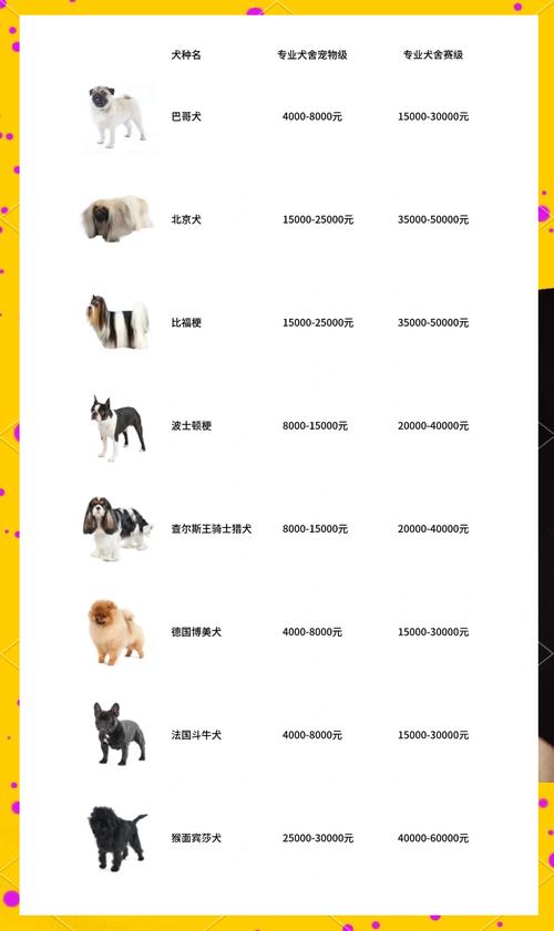  宠物店的狗狗费用大概多少，宠物店宠物狗费用表