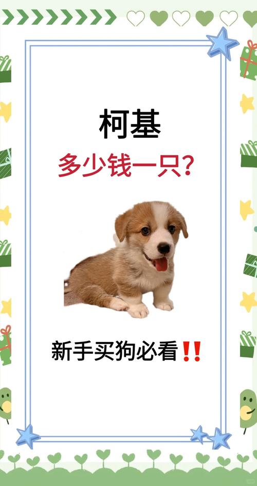  宠物店的狗狗费用大概多少，宠物店宠物狗费用表-第2张图片-后鲨宠物