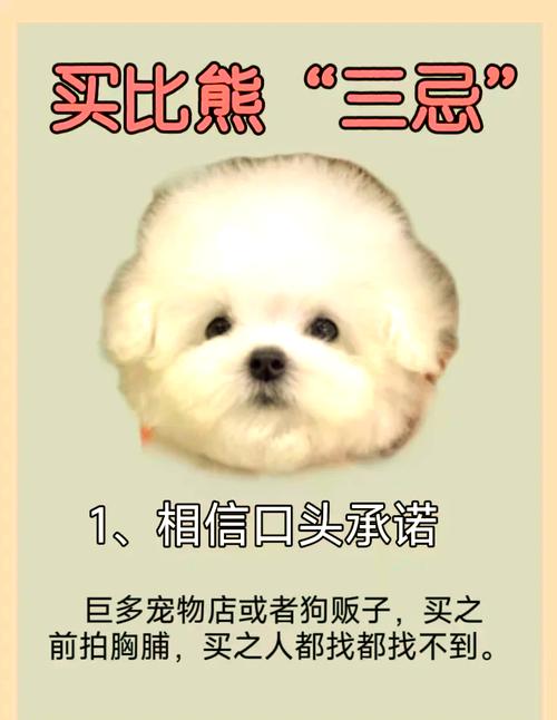  宠物店的狗狗费用大概多少，宠物店宠物狗费用表-第4张图片-后鲨宠物