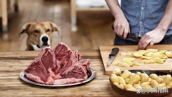 狗狗能吃熟土豆吗_狗狗可以吃熟土豆吗?-第1张图片-后鲨宠物 狗狗能吃熟土豆吗_狗狗可以吃熟土豆吗?-第1张图片-后鲨宠物