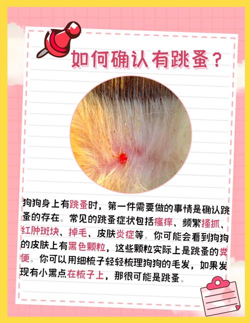 狗狗除跳蚤项圈有用吗,狗狗除蚤项圈怎么戴?-第2张图片-后鲨宠物 狗狗除跳蚤项圈有用吗,狗狗除蚤项圈怎么戴?-第2张图片-后鲨宠物